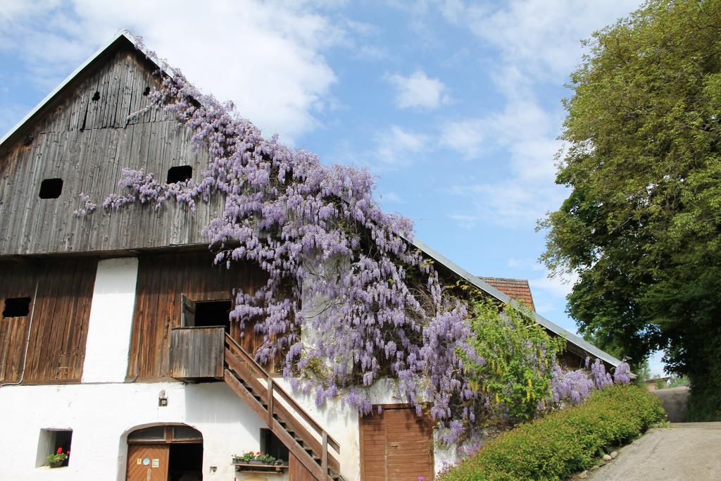 Pension Neuhof Hotel Ossiach Kültér fotó